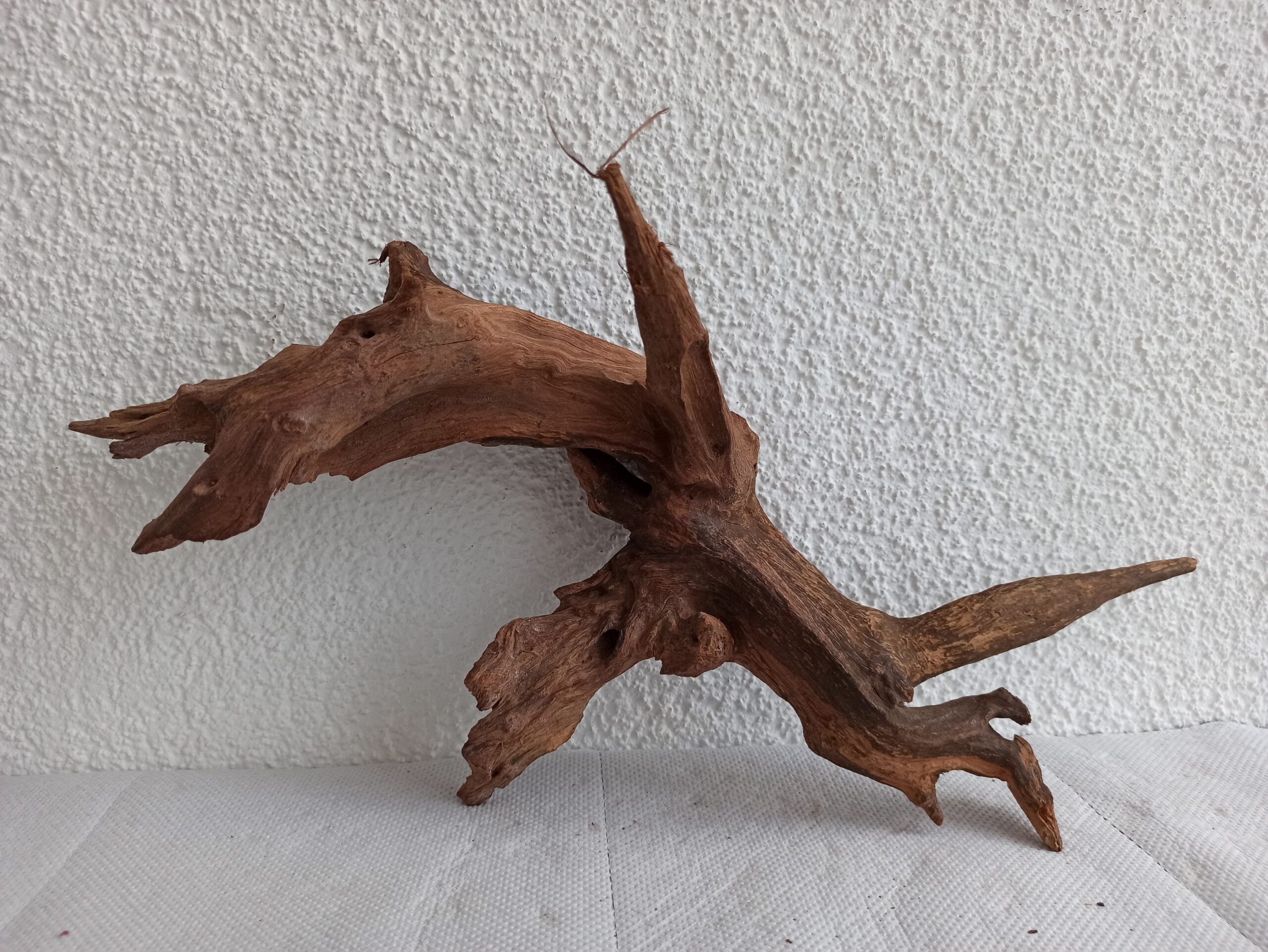 Коряга декор для акваріума # 93. Кораловий корінь. Ціна 550 грн. - Зображення 4