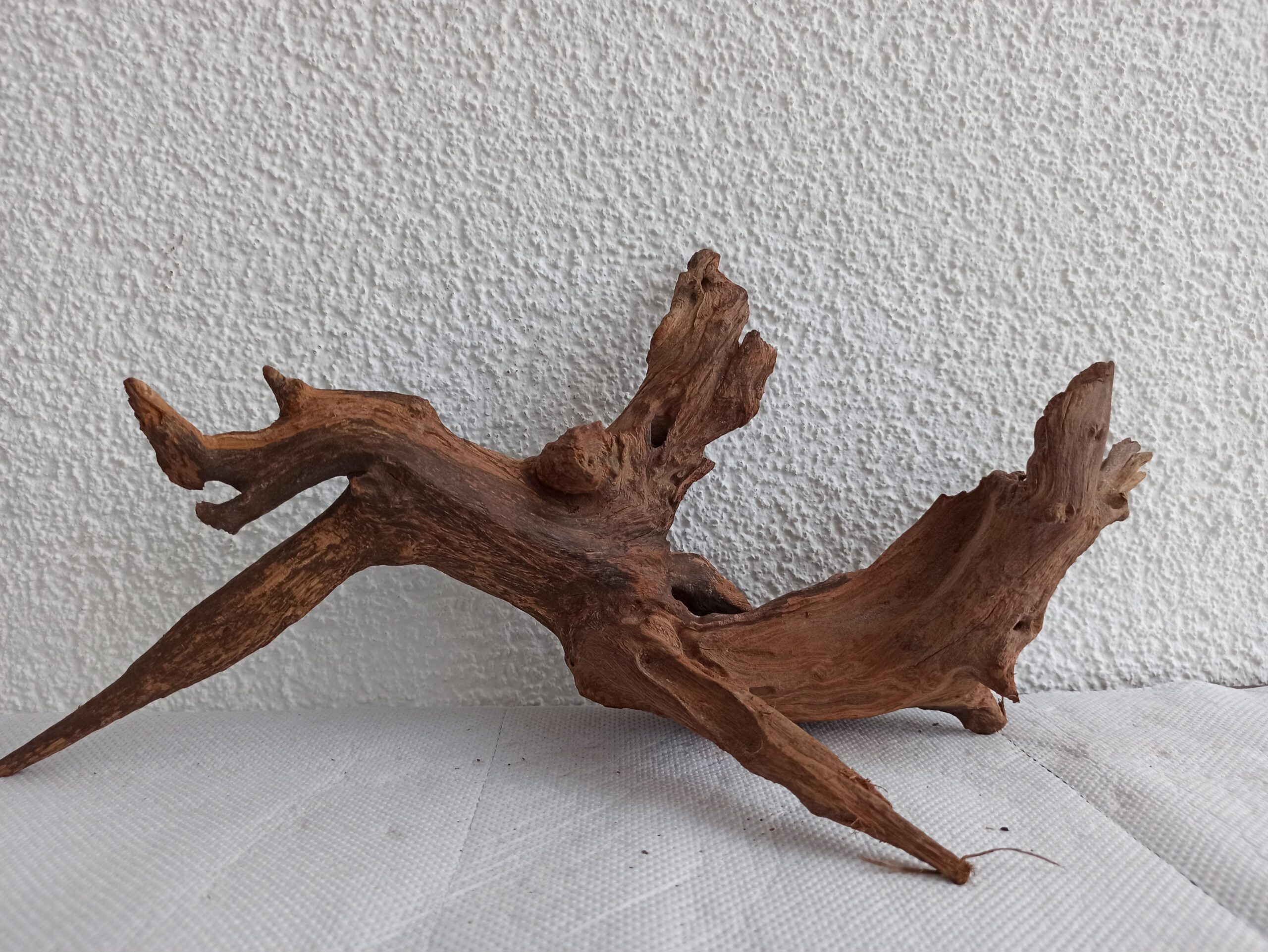 Коряга декор для акваріума # 93. Кораловий корінь. Ціна 550 грн. - Зображення 5