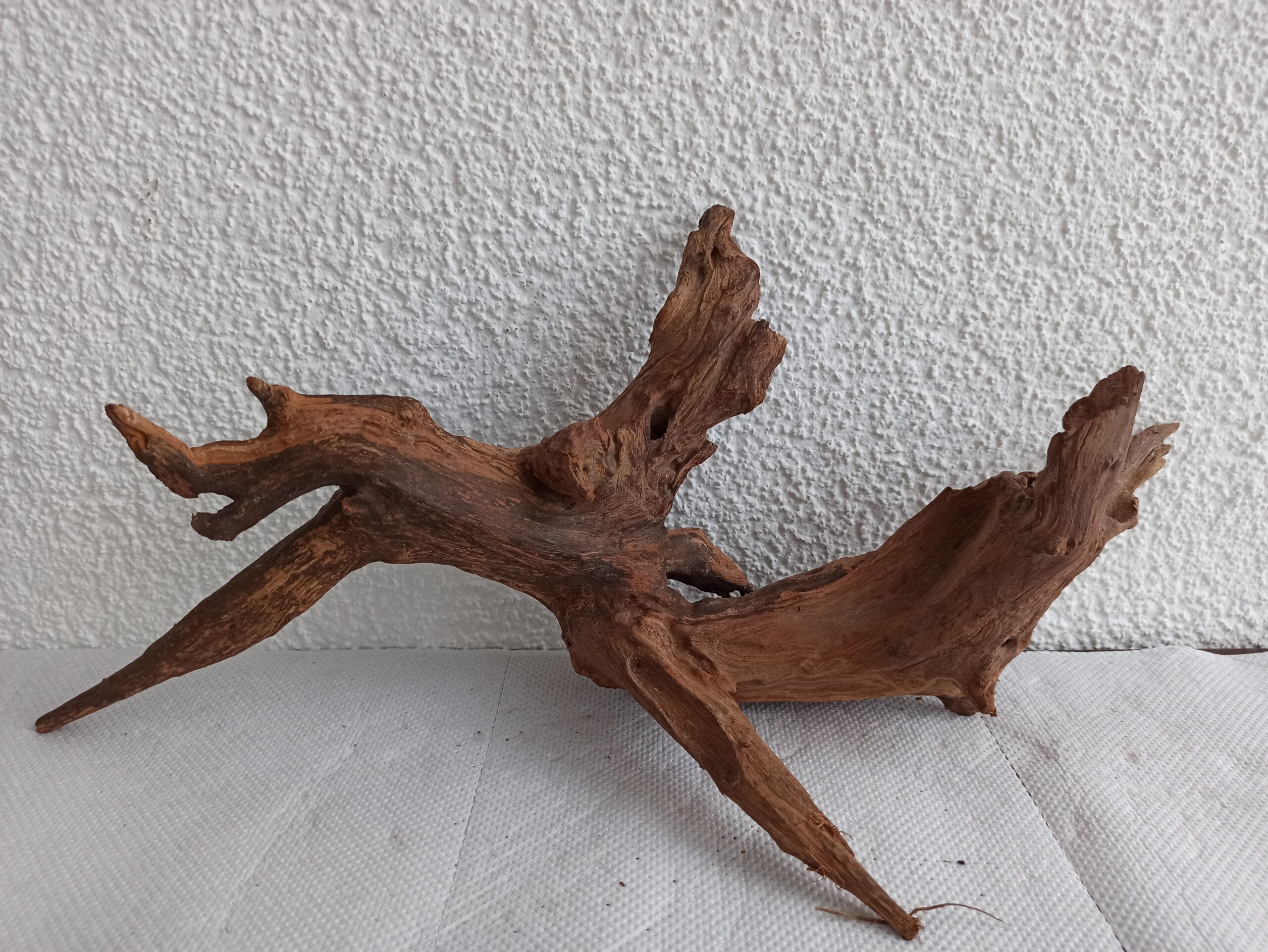 Коряга декор для акваріума # 93. Кораловий корінь. Ціна 550 грн. - Зображення 6