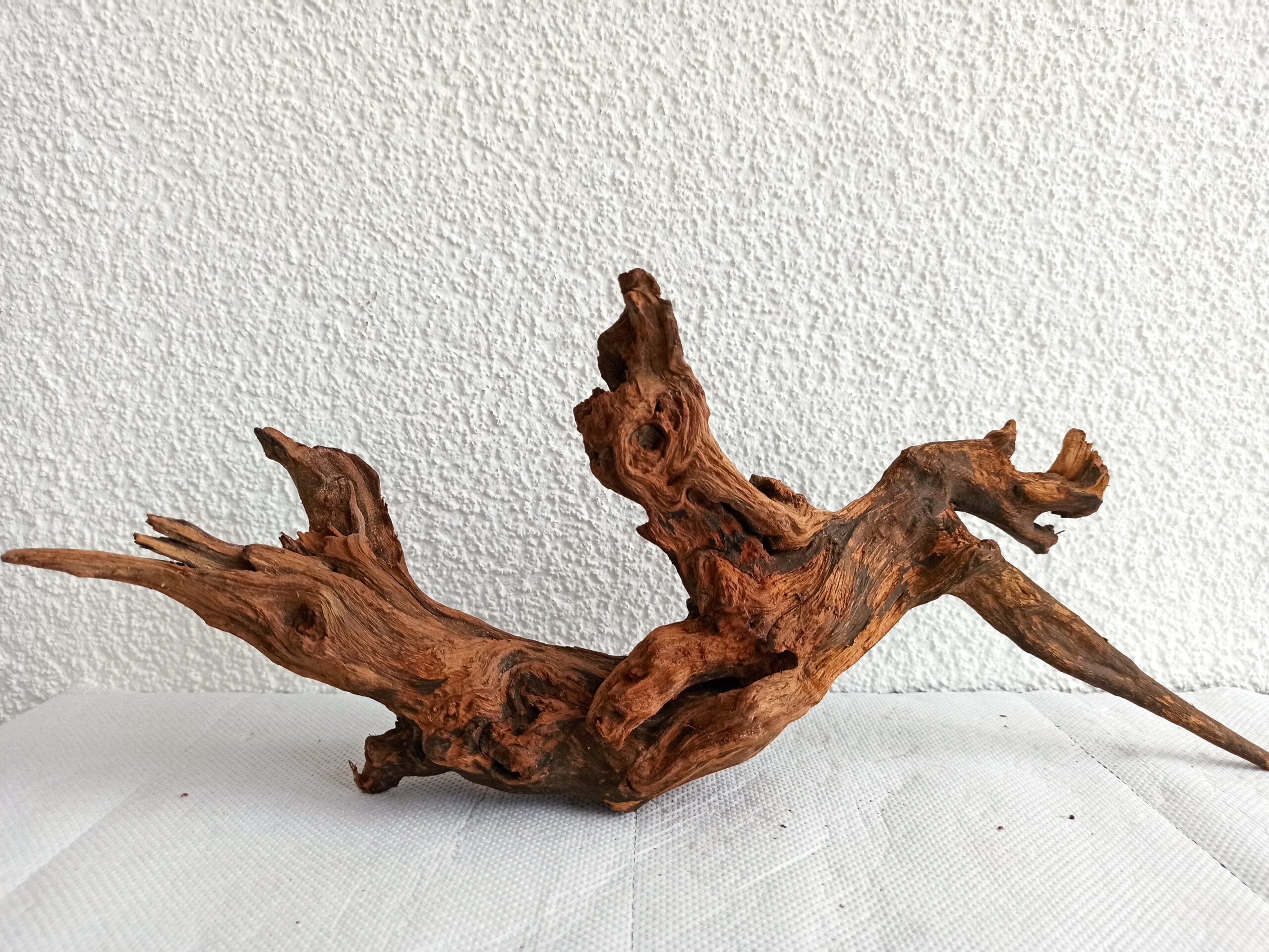 Коряга декор для акваріума # 93. Кораловий корінь. Ціна 550 грн. - Зображення 7