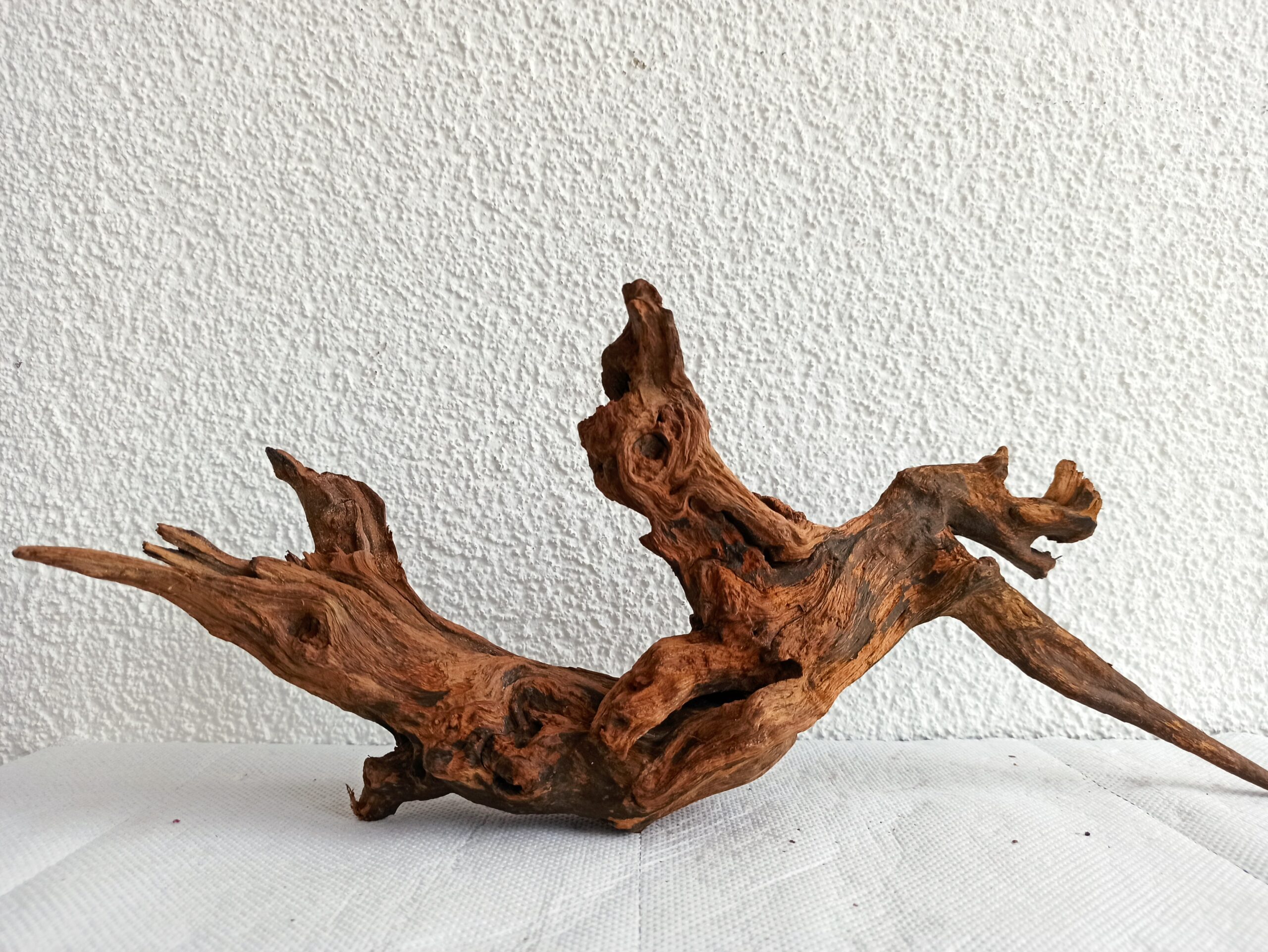 Коряга декор для акваріума # 93. Кораловий корінь. Ціна 550 грн. - Зображення 8