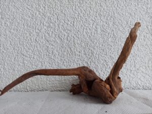 Коряга декор для акваріума # 23. Кораловий корінь. Ціна 200 грн.