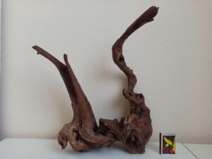 Композиція з коряг для акваріума #11. Кораловий корінь. Ціна 820 грн.