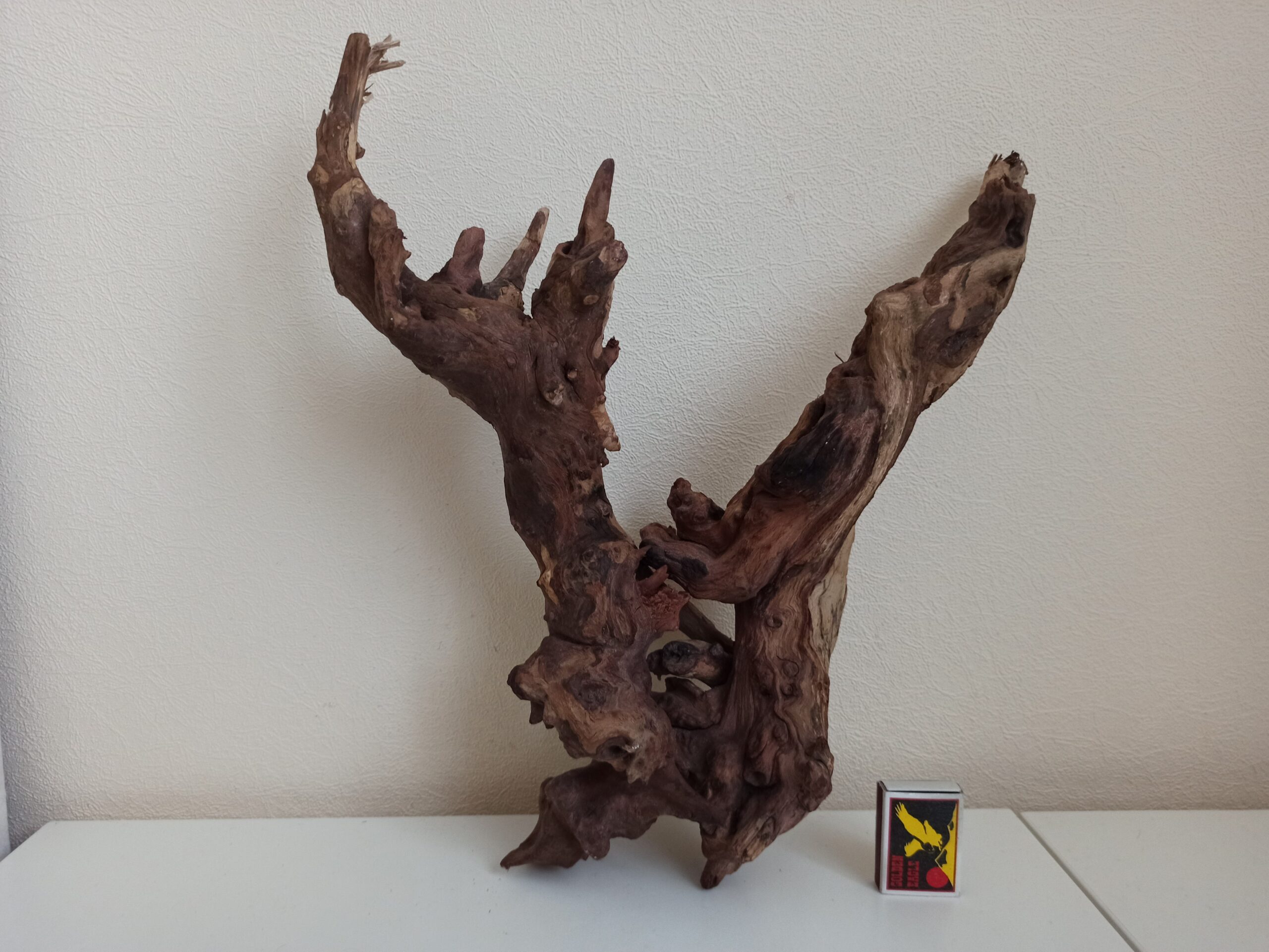 Композиція з коряг для акваріума #14. Кораловий корінь. Ціна 940 грн. - Зображення 3