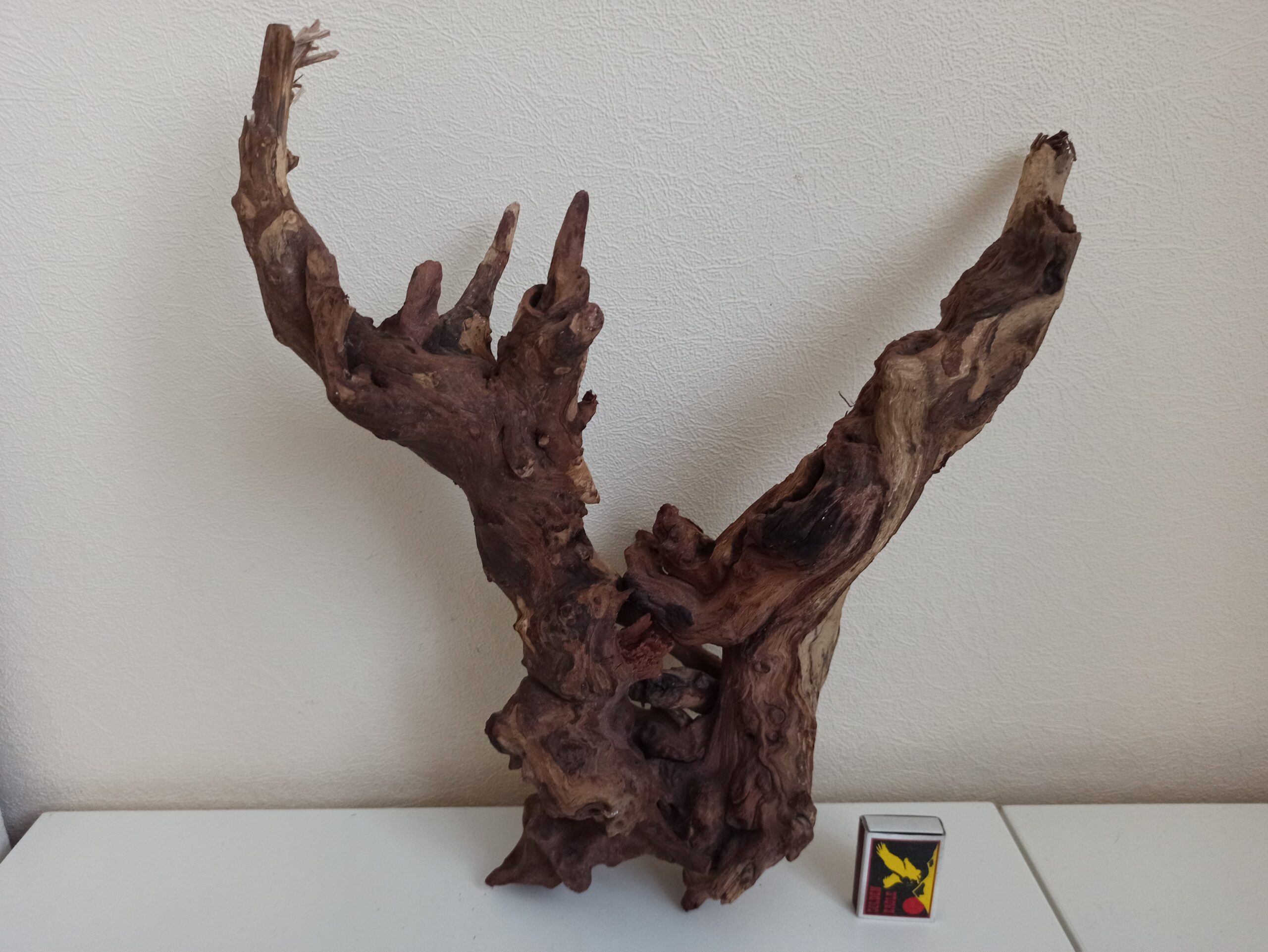 Композиція з коряг для акваріума #14. Кораловий корінь. Ціна 940 грн. - Зображення 4