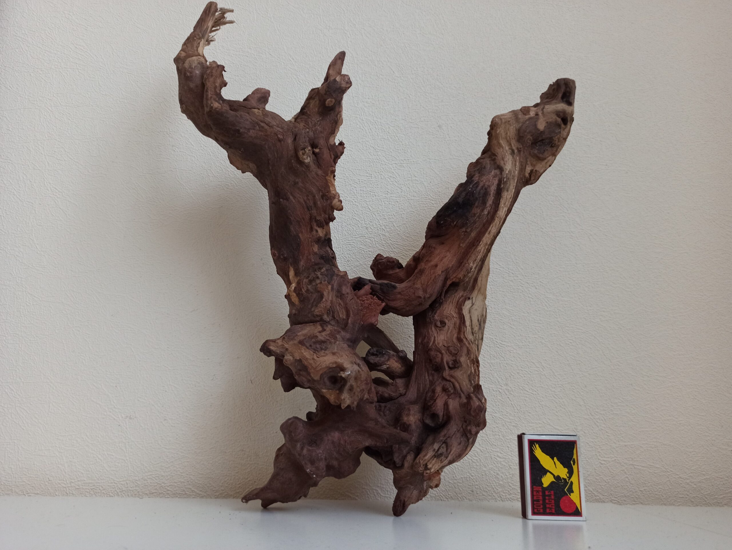 Композиція з коряг для акваріума #14. Кораловий корінь. Ціна 940 грн. - Зображення 5