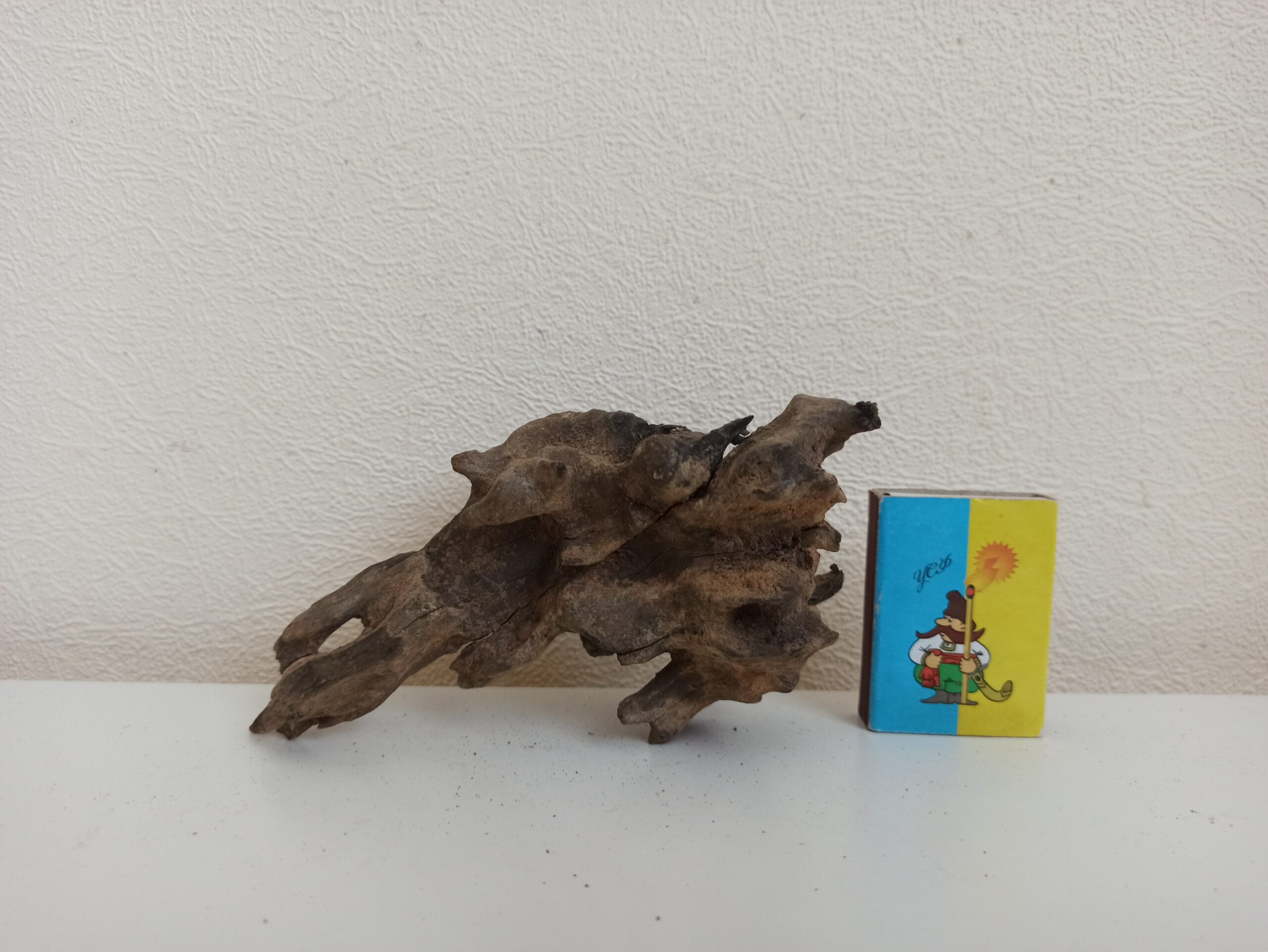 Коряга декор для акваріума # 107. Кораловий корінь. Ціна 145 грн. - Зображення 4