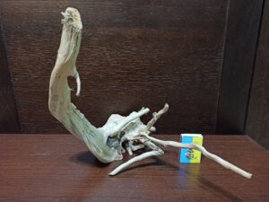 Коряга декор для акваріума # 29. Азалія. Ціна 540 грн.