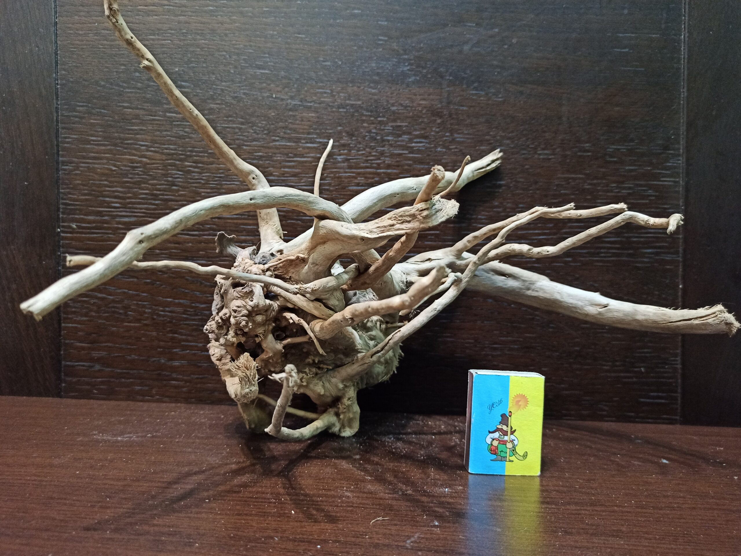 Коряга декор для акваріума # 31. Азалія. Ціна 600 грн. - Зображення 3