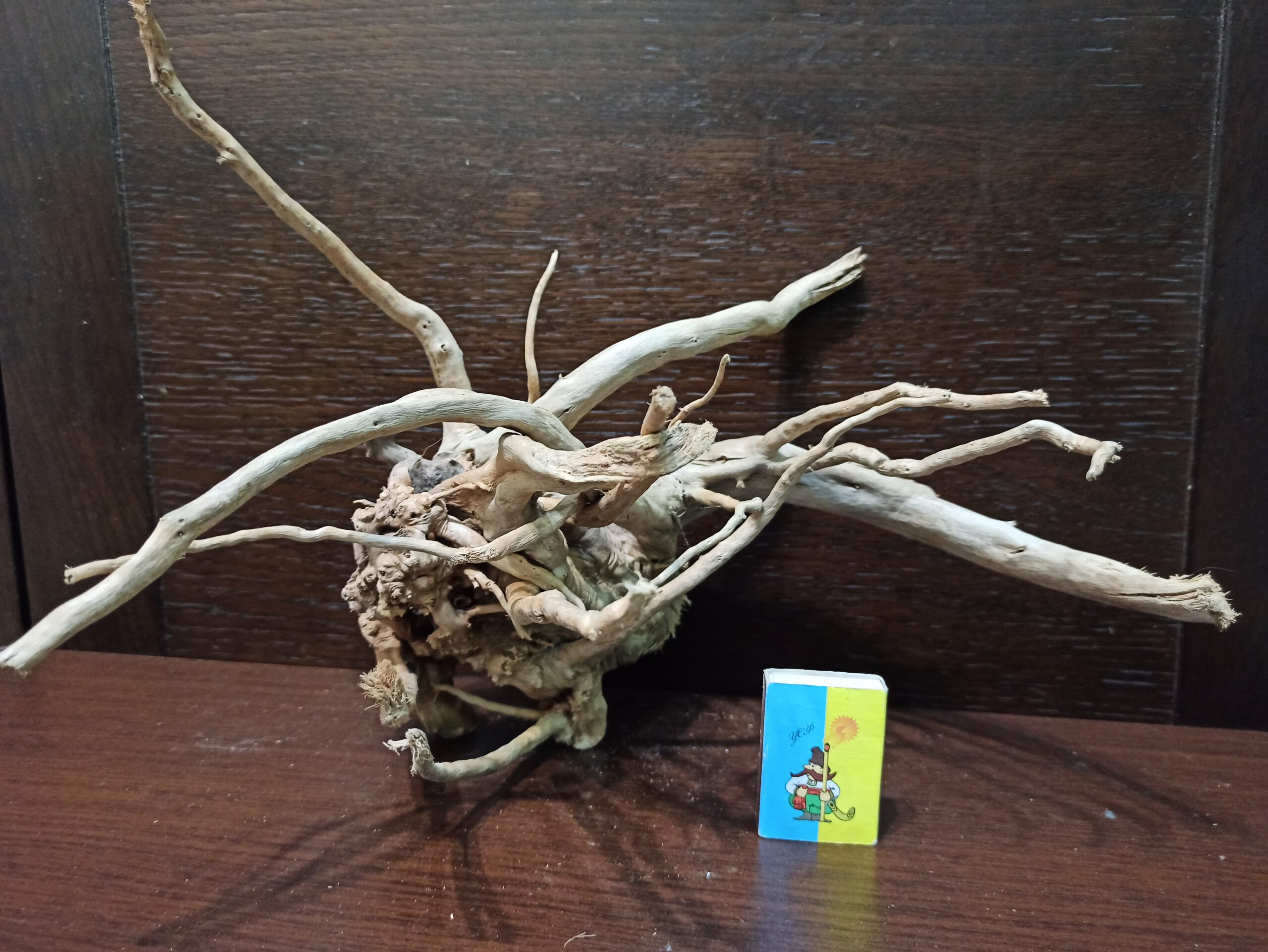 Коряга декор для акваріума # 31. Азалія. Ціна 600 грн. - Зображення 5