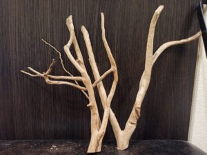 Композиція з коряг для акваріума #3. Азалія. Ціна 330 грн.