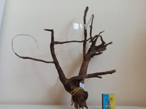 Композиція з коряг для акваріума #2. Вяз. Ціна 270 грн.