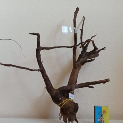 Композиція з коряг для акваріума #2. Вяз. Ціна 270 грн.