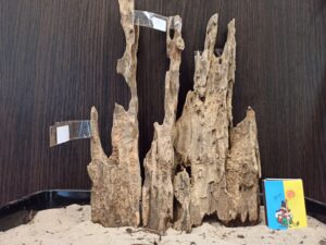 Композиція з коряг для акваріума #12. Лабіринт. Ціна 465 грн.