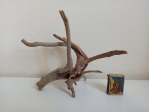 Коряга декор для акваріума # 26. Азалія. Ціна 200 грн.