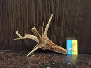 Коряга декор для акваріума # 51. Азалія. Ціна 100 грн.