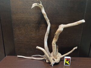 Композиція з коряг для акваріума #36. Азалія. Ціна 495 грн.