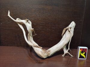 Коряга декор для акваріума # 97. Азалія. Ціна 370 грн.