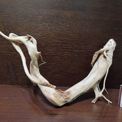 Коряга декор для акваріума # 97. Азалія. Ціна 370 грн.