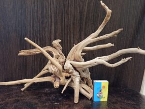 Композиція з коряг для акваріума #1. Азалія. Ціна 400 грн.