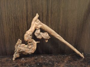 Коряга декор для акваріума # 17. Кораловий корінь. Ціна 190 грн.