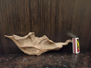 Коряга декор для акваріума # 27. Кораловий корінь. Ціна 85 грн.