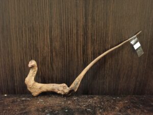 Коряга декор для акваріума # 19. Кораловий корінь. Ціна 95 грн.