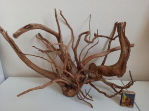 Композиція з коряг для акваріума #1. Азалія. Ціна 895 грн.