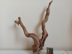 Коряга декор для акваріума # 5. Азалія. Ціна 410 грн.