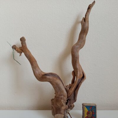 Коряга декор для акваріума # 5. Азалія. Ціна 410 грн.