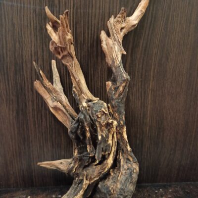Композиція з коряг для акваріума #21. Кораловий корінь. Ціна 660 грн.