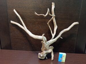 Коряга декор для акваріума # 86. Азалія. Ціна 480 грн.
