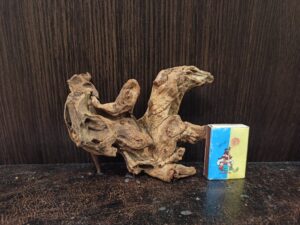 Коряга декор для акваріума # 101. Кораловий корінь. Ціна 195 грн.