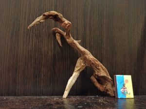 Коряга декор для акваріума # 105. Кораловий корінь. Ціна 185 грн.