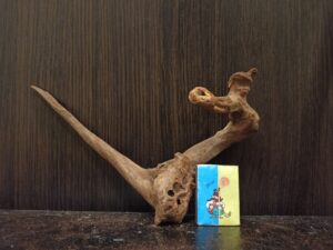 Коряга декор для акваріума # 110. Кораловий корінь. Ціна 145 грн.