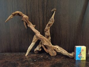 Композиція з коряг для акваріума #16. Кораловий корінь. Ціна 330 грн.