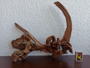 Коряга декор для акваріума # 16. Кораловий корінь. Ціна 720 грн.