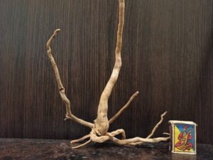 Коряга декор для акваріума # 33. Азалія. Ціна 165 грн.
