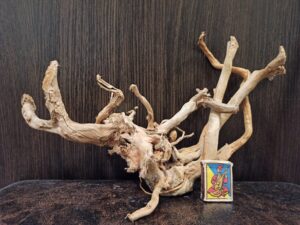 Композиція з коряг для акваріума #34. Азалія. Ціна 495 грн.