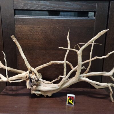 Композиція з коряг для акваріума #6. Азалія. Ціна 1550 грн.