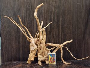 Композиція з коряг для акваріума #15. Азалія. Ціна 460 грн.