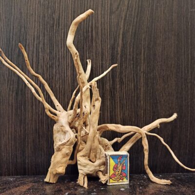 Композиція з коряг для акваріума #15. Азалія. Ціна 460 грн.