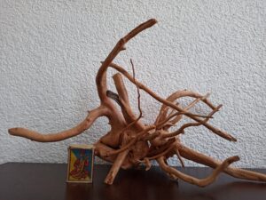 Композиція з коряг для акваріума #2. Азалія. Ціна 695 грн.
