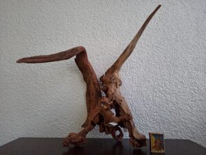 Композиція з коряг для акваріума #6. Кораловий корінь. Ціна 940 грн.