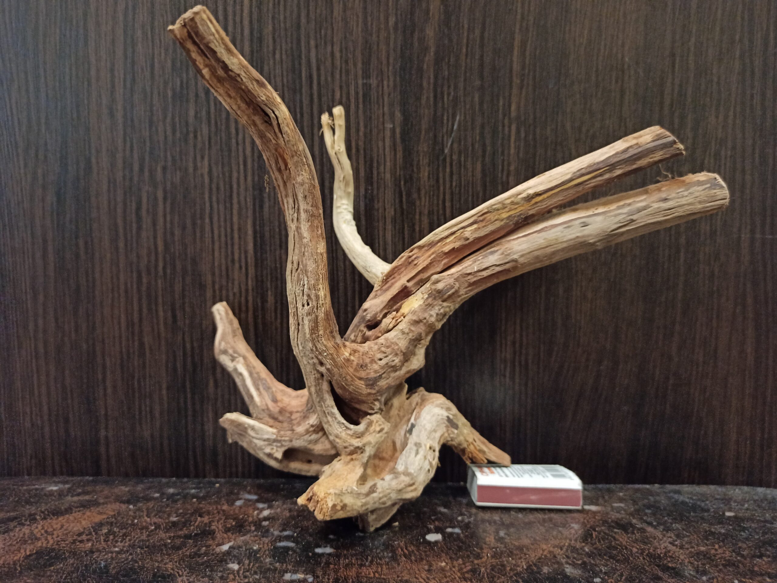 Коряга декор для акваріума # 67. Азалія. Ціна 345 грн. - Зображення 5