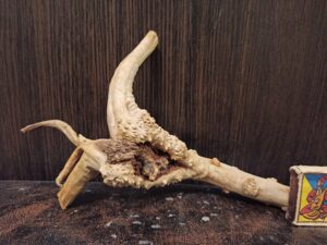 Коряга декор для акваріума # 96. Азалія. Ціна 380 грн.
