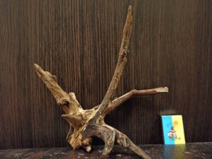 Коряга декор для акваріума # 100. Черешня. Ціна 220 грн.